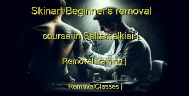 Skinart Beginner's removal course in Saltamalkiai | RemovalTraining | RemovalClasses | SkinartTraining-Lithuania